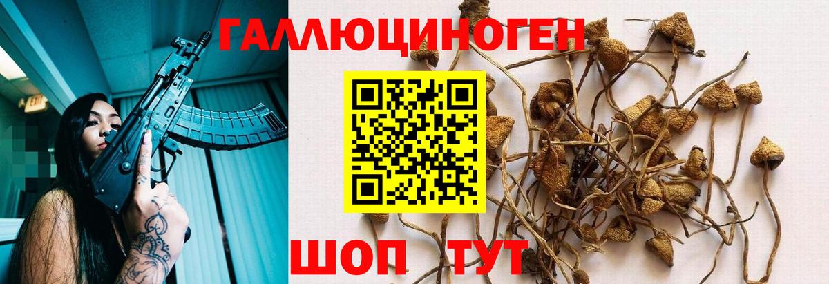 Тихорецк  Галлюциногенные грибы мицелий  Вход с VPN 