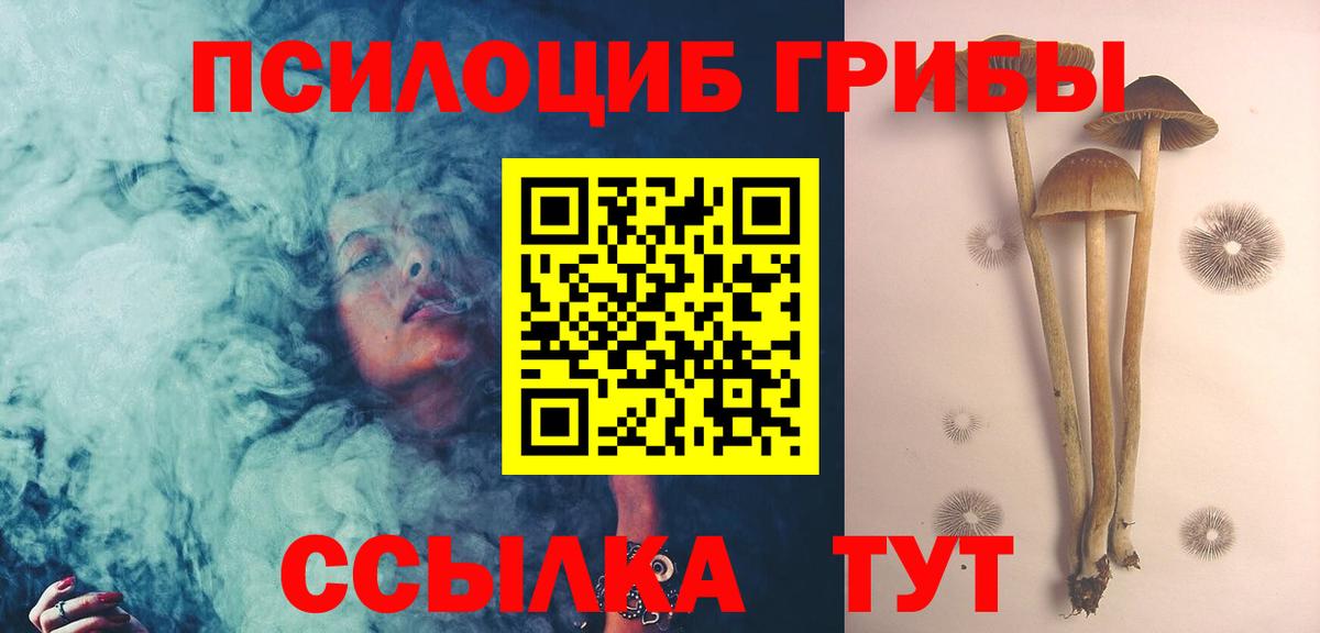 Галлюциногенные грибы Magic Shrooms Тихорецк